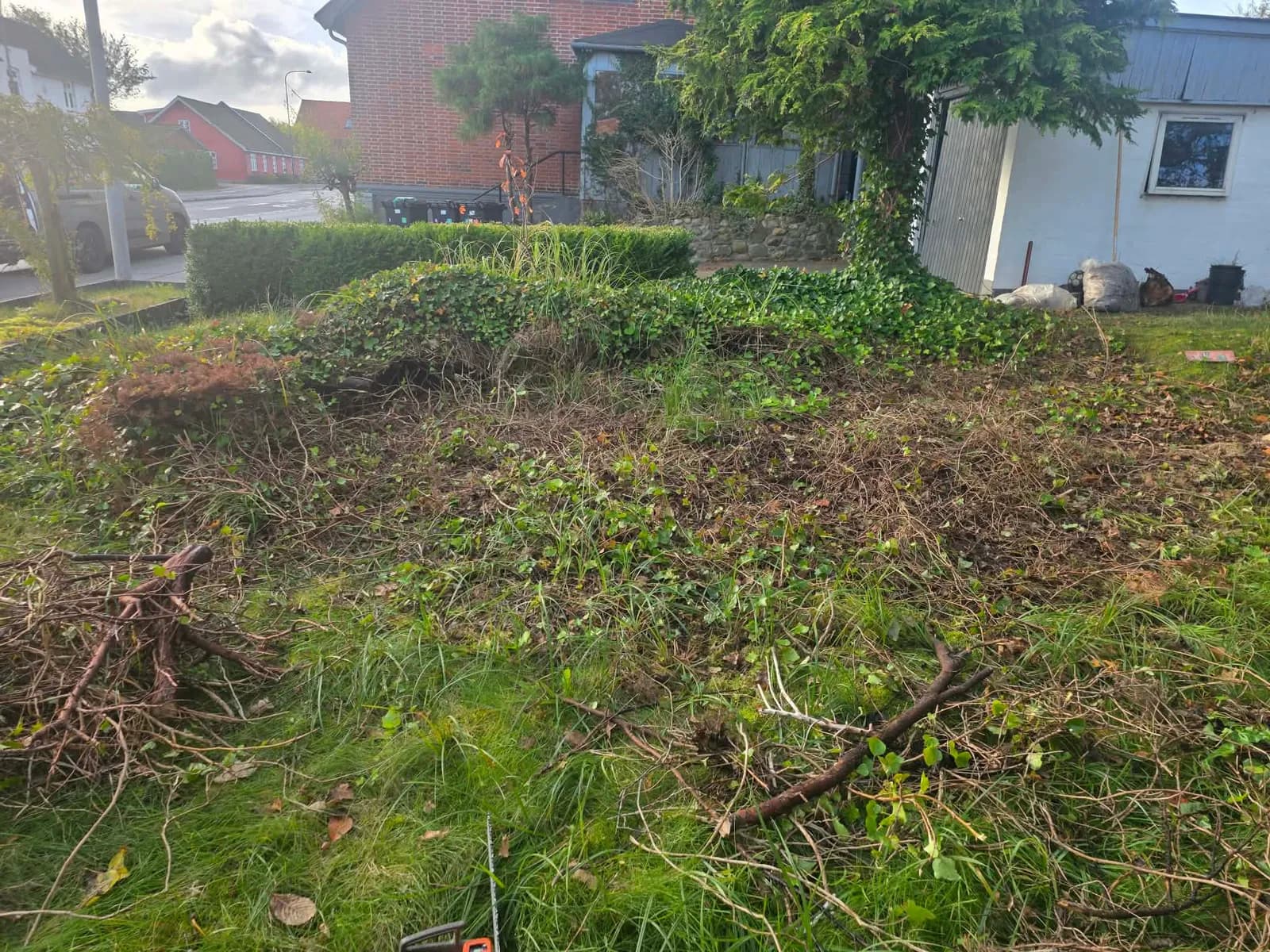 Tilgroet bed foran huset med vedbend, højt græs og afskårne grene før arbejdet