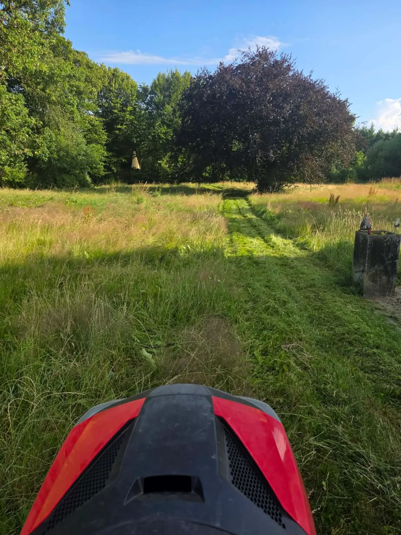 Nyslået sti gennem højt græs